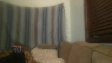 teachandvike online show from February 13, 2:33 pm