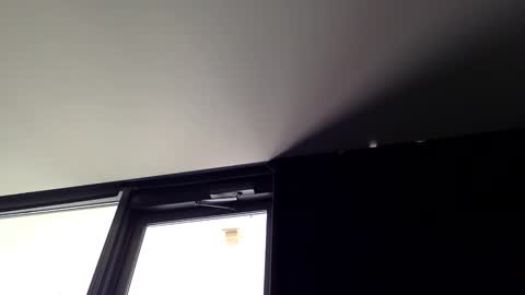 tempsnasty online show from March 16, 9:08 pm