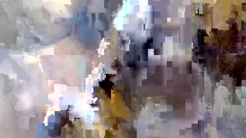 terry1167 online show from September 22, 10:37 am