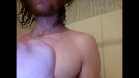 terrywillow online show from November 6, 6:44 pm