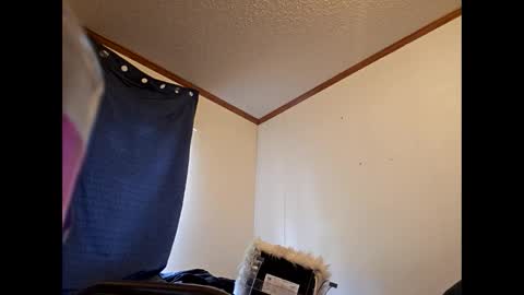 terrywillow online show from April 5, 8:05 pm