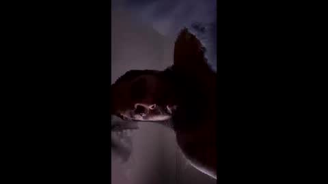 Texandick1989 online show from January 12, 5:55 am