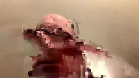 Snapshot of th372019 chatting on January 20, 12:15 am country cock 2020 online show from January 20, 12:15 am