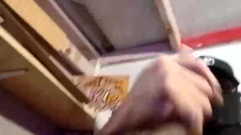 thagoonpaco online show from January 10, 2:10 pm