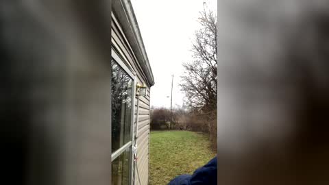 Love. online show from January 14, 2:33 pm