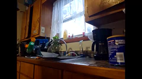 therizzler_1_of_1 online show from January 6, 1:48 pm