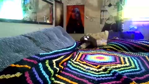 thunder8u42 online show from February 7, 7:08 pm