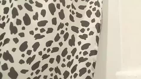 thuzi0n online show from October 25, 9:22 am