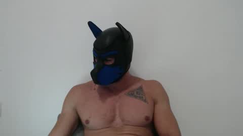 thybautsenses online show from November 11, 7:13 am