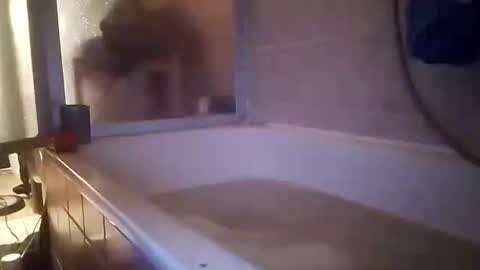 tigertrance online show from November 10, 5:23 am