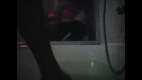 Snapshot of tigertrance chatting on March 11, 2:32 am tigertrance online show from March 11, 2:32 am