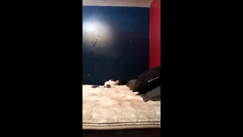 tinycock74478 online show from March 19, 10:02 pm