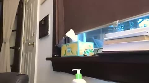 toddmeyerm online show from February 16, 11:36 pm