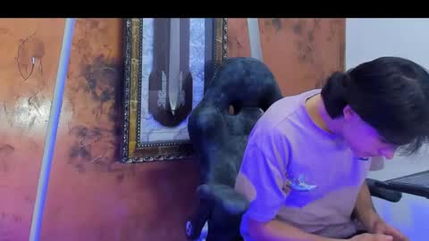 tom_hot20 online show from November 19, 12:16 pm