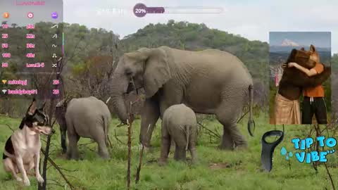 Snapshot of tomaz62a chatting on November 1, 12:04 am Tomaz62a online show from November 1, 12:04 am