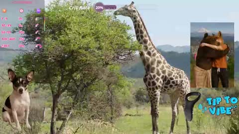 Snapshot of tomaz62a chatting on October 31, 12:01 am Tomaz62a online show from October 31, 12:01 am