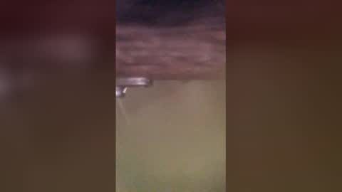 tomcop11111 online show from March 29, 9:20 am