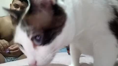 torudo22 online show from December 29, 3:33 am