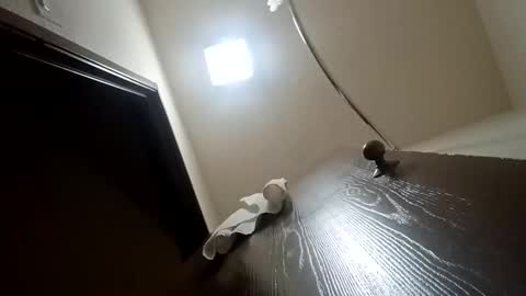 treedude303720 online show from October 28, 11:34 am