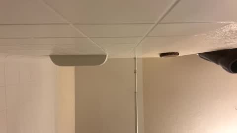 trickydick6 online show from February 11, 6:02 pm