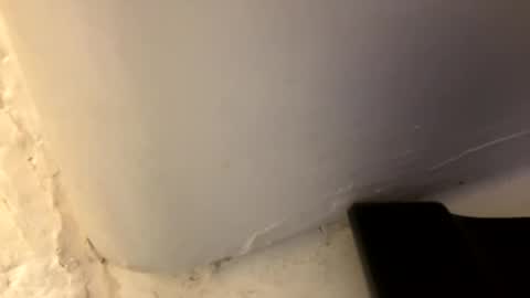 trickydick6 online show from April 26, 3:42 pm