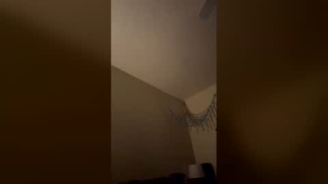 triplevizion online show from February 2, 7:40 am