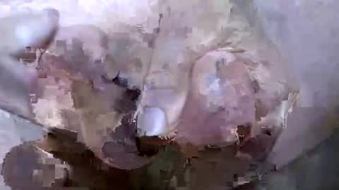 troy1965 online show from April 21, 5:02 am