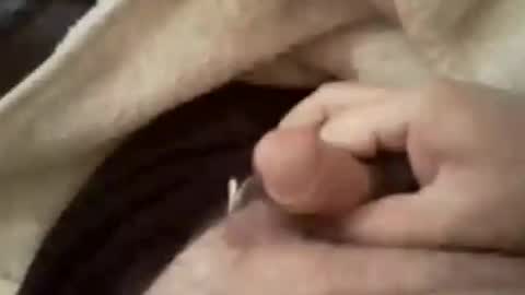 trucker9296 online show from November 15, 11:07 pm