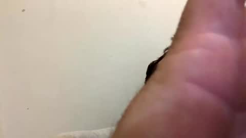ttt399921 online show from September 25, 11:46 pm