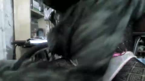 tu_poeta811431 online show from December 20, 7:26 am