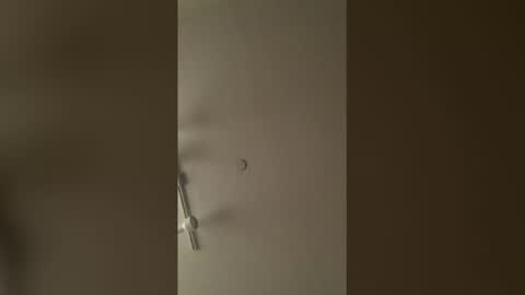 ulam119 online show from February 12, 5:02 am