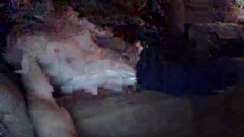 uncutcamcock online show from March 15, 8:33 am