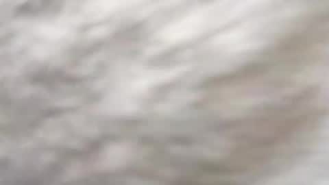 Snapshot of unmeasuredcave25 chatting on October 22, 10:35 pm unmeasuredcave25 online show from October 22, 10:35 pm