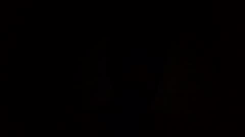 Unspokendollar online show from February 3, 9:41 am