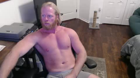 A nightmare dressed as a daydream online show from January 14, 8:23 pm