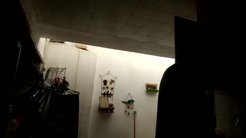 user_of_existance online show from April 11, 6:11 pm