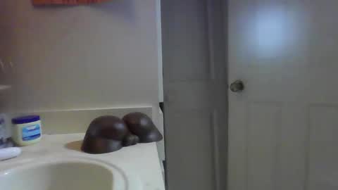 uzithebbc online show from December 12, 5:10 am