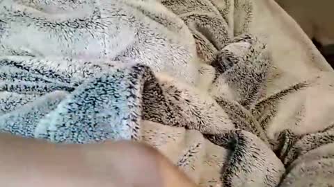 Vanyllaice online show from September 30, 12:09 pm