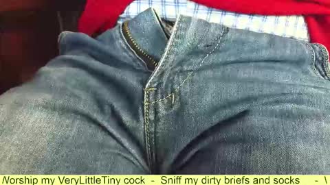 Snapshot of verylittletiny chatting on October 13, 5:52 pm Erik online show from October 13, 5:52 pm