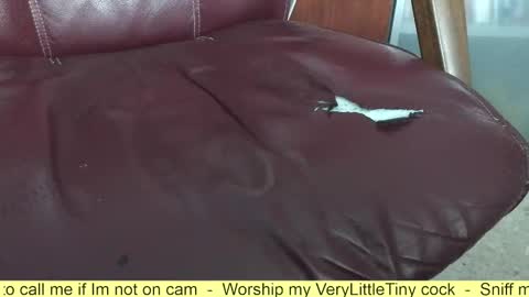 Snapshot of verylittletiny chatting on October 30, 10:49 am Erik online show from October 30, 10:49 am