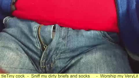 Snapshot of verylittletiny chatting on October 21, 9:34 am Erik online show from October 21, 9:34 am