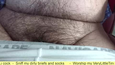 Snapshot of verylittletiny chatting on October 14, 5:53 pm Erik online show from October 14, 5:53 pm