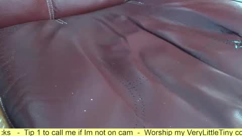 Snapshot of verylittletiny chatting on October 26, 10:06 am Erik online show from October 26, 10:06 am