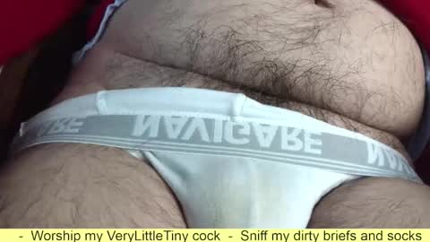 Snapshot of verylittletiny chatting on October 23, 9:46 am Erik online show from October 23, 9:46 am