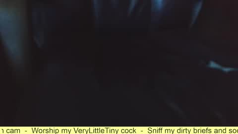 Snapshot of verylittletiny chatting on October 28, 10:18 am Erik online show from October 28, 10:18 am