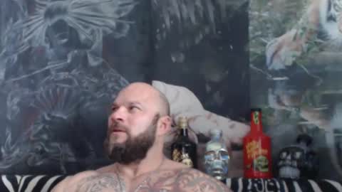 viking online show from May 2, 10:40 am