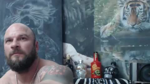 viking online show from April 25, 6:05 pm