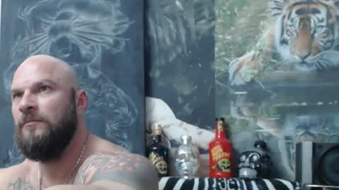 viking online show from April 26, 6:16 pm