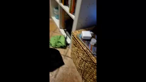 Vinz online show from March 11, 2:40 am