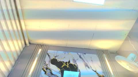 Wade online show from November 3, 12:30 pm